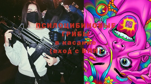таблы Белокуриха