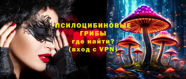 таблы Белокуриха